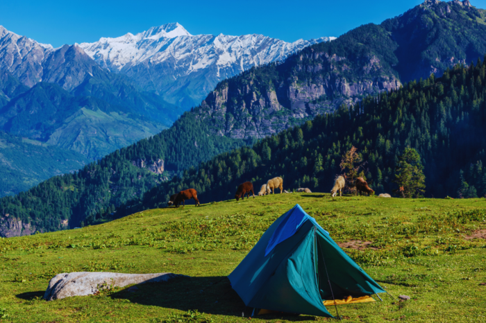 Kullu – Manali – Solang – Rohtang (5 Days)